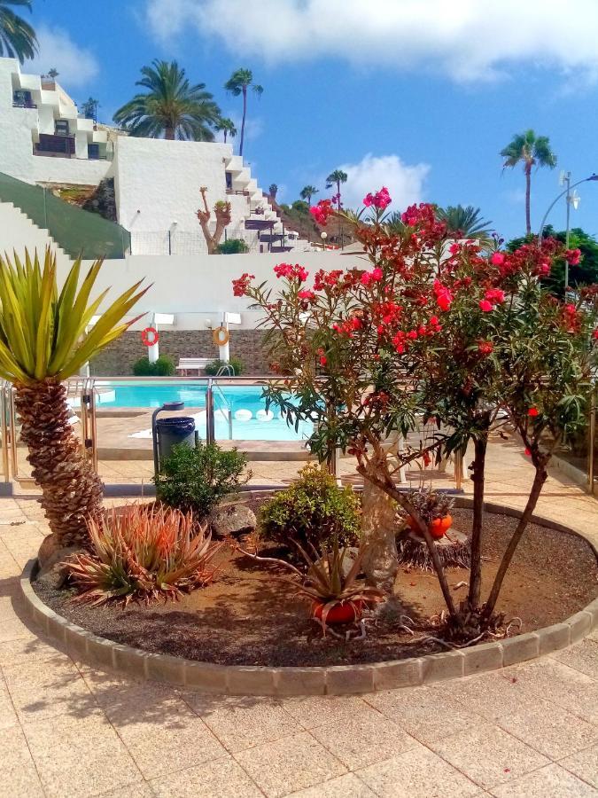 Most Sunny Days On Gran Canaria プエルトリコ エクステリア 写真
