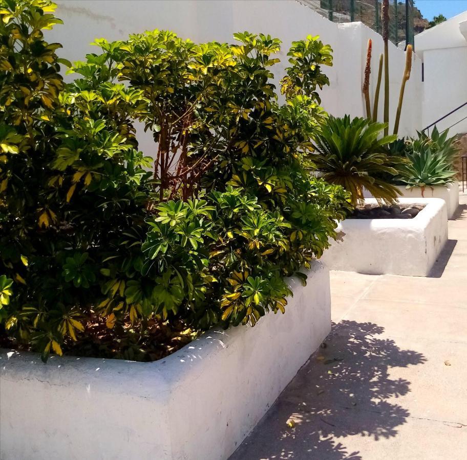 Most Sunny Days On Gran Canaria プエルトリコ エクステリア 写真