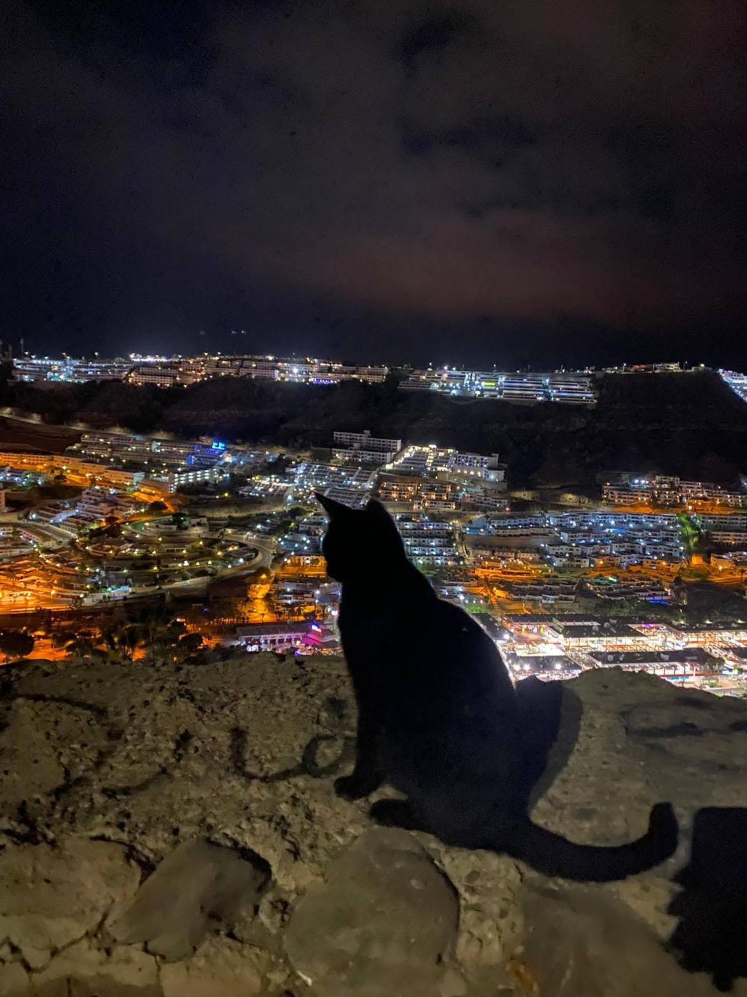 Most Sunny Days On Gran Canaria プエルトリコ エクステリア 写真