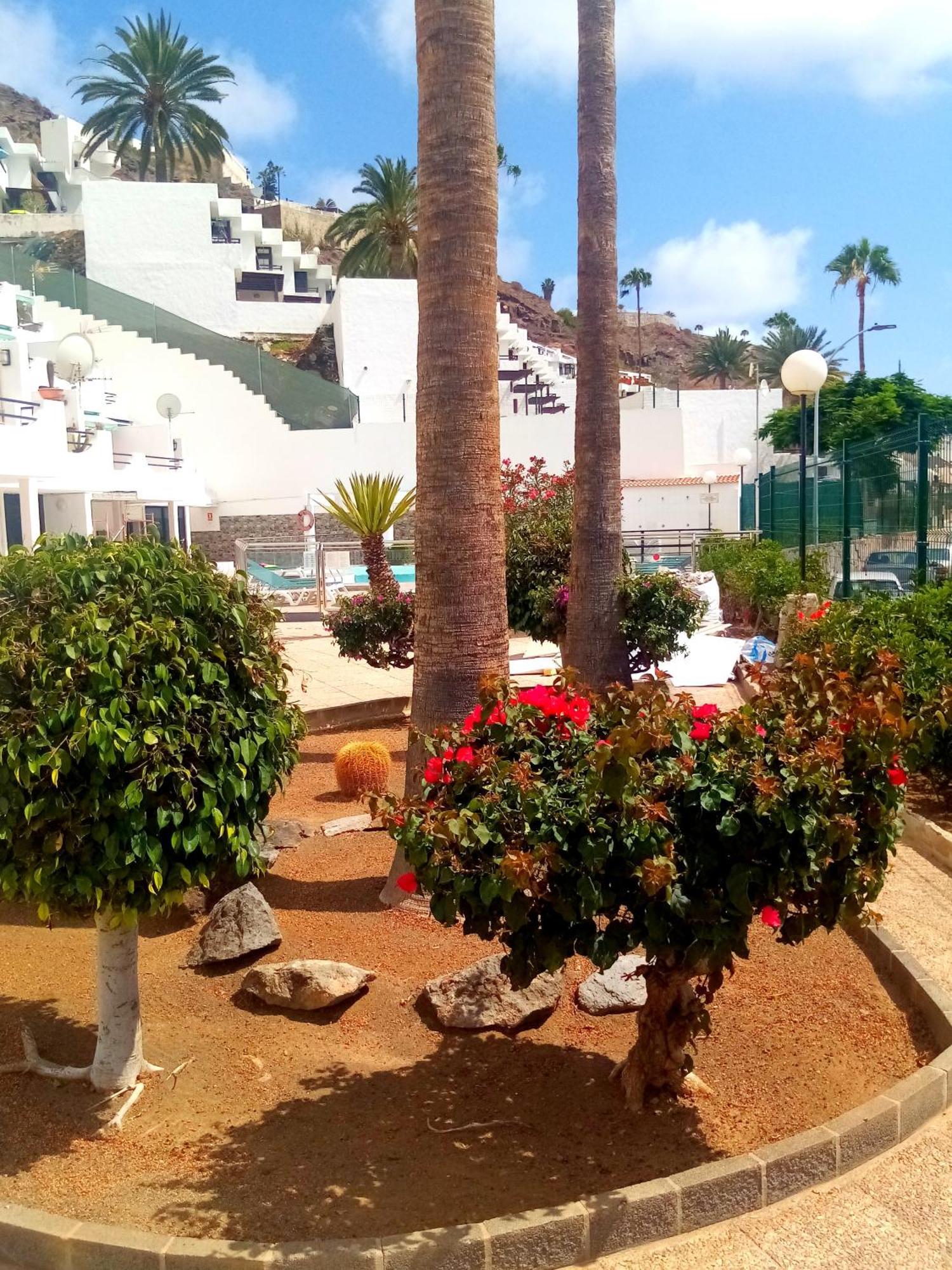 Most Sunny Days On Gran Canaria プエルトリコ エクステリア 写真